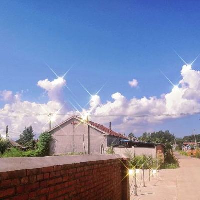 市监局回应专柜买4个LV包为假货