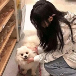 科威特石油公司:战后四个月内可恢复生产。